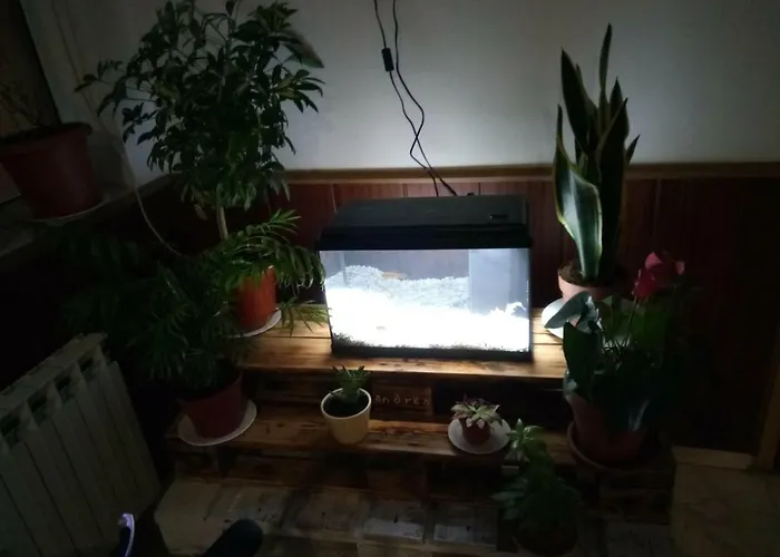 El Tropezon 3* Matallana de Valmadrigal